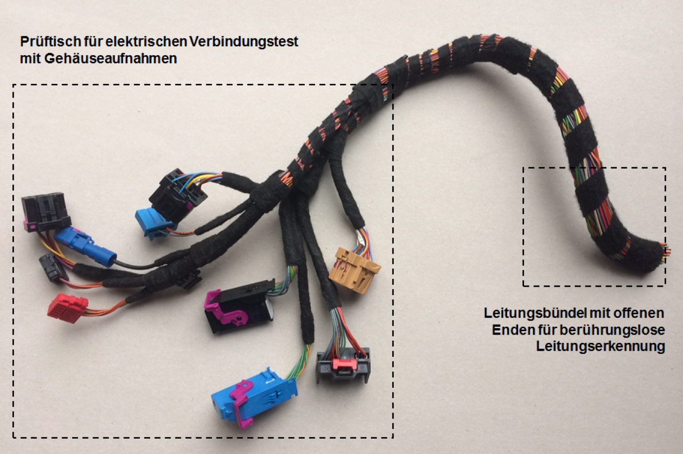 WHC - Das Konzept